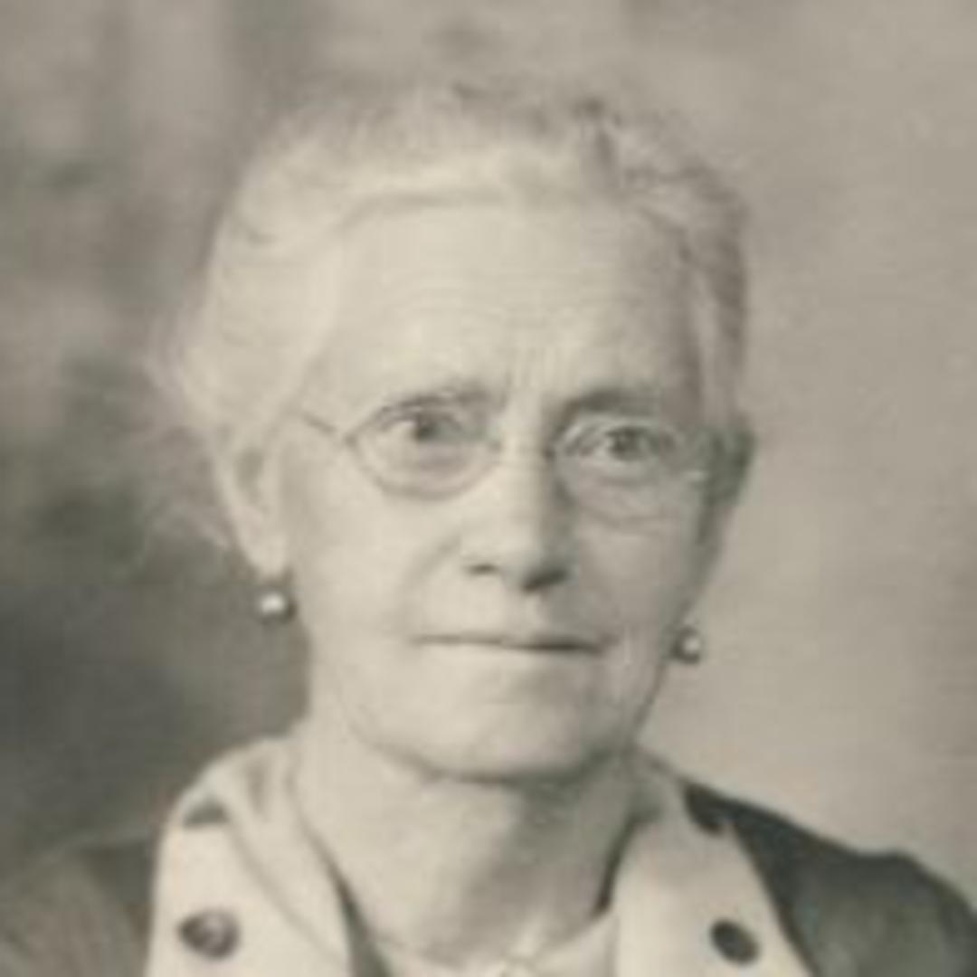 Elvira Ann Williams (1853 - 1944) Profile
